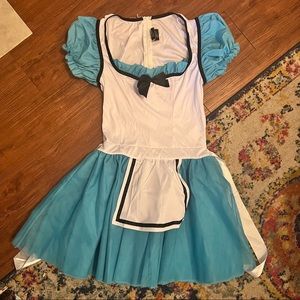 Alice in Wonderland Costume